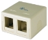 Dual Port Beige Surface Mount Box for CAT5/CAT6 Keystone Jacks