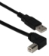 4ft USB 2.0 High-Speed Type A Male to B Right Angle Male Cable - CC2209C-04RA