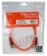 10-Meter ST to ST Multimode Fiber Duplex Patch Cord - FDST-10M