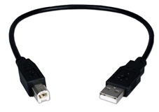 1ft USB 2.0 High-Speed Type A Male to B Male Black Cable CC2209C-01 037229228656 Cable, USB 2.0 480Mbps Certified Universal Serial Bus Type A Male to B Male Black Cable, For Printer, Scanner, Camera, External Drive & PC/Hub, 1ft CC2209C-01T  164509 TW8088 CC2209C01 CC2209C-01 cables feet foot  2450 
